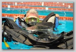 Corsi sub a Roma in piscina