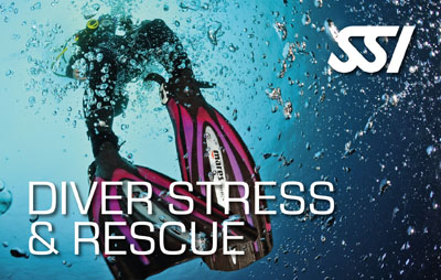 Stress and Rescue SSI